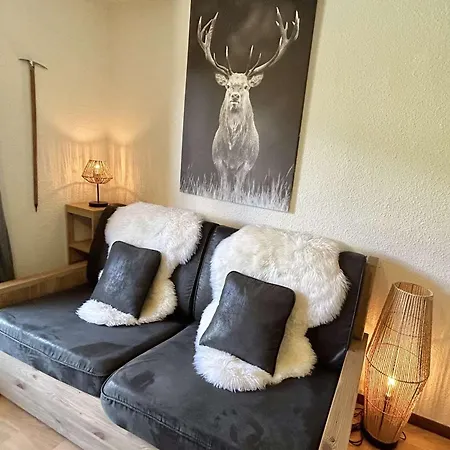 + Coin Montagne Avec Terrasse, 4 Couchages, Casier A Skis Et Parking, - Fr-1-597-173